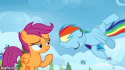 Size: 360x202 | Tagged: safe, screencap, rainbow dash, scootaloo, pegasus, pony, g4, season 8, the washouts (episode), animated, barrel roll, cute, dashabetes, duo, female, filly, lidded eyes, mare, rolling, scootaloo is not amused, unamused, you spin me right round