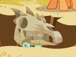 Size: 302x228 | Tagged: safe, screencap, g4, the fault in our cutie marks, cropped, dead, fossil, horse head, horse skull, skull, spiny back ponysaurus