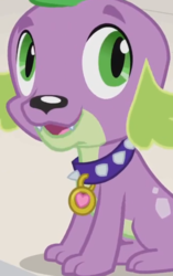 Size: 485x771 | Tagged: safe, screencap, spike, dog, equestria girls, g4, my little pony equestria girls, cropped, male, paws, solo, spike the dog, spike's dog collar