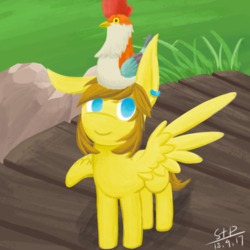 Size: 800x800 | Tagged: safe, artist:sunnytp, pegasus, pony, cucco, link, male, ponies of the wild, ponified, solo, stallion, the legend of zelda