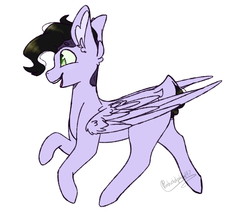 Size: 1800x1525 | Tagged: safe, artist:pinkdolphin147, oc, oc only, oc:bowie bright, pegasus, pony, male, simple background, solo, stallion, white background
