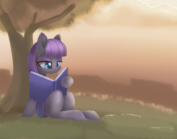 Size: 1650x1296 | Tagged: safe, artist:dusthiel, maud pie, earth pony, pony, g4, book, cheek fluff, clothes, ear fluff, eyeshadow, female, hoof hold, makeup, mare, reading, sitting, solo, tree