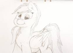 Size: 1338x980 | Tagged: safe, artist:mewliciousness, oc, oc only, oc:joycie, pegasus, pony, chubby, cute, derp, female, mare, paper, solo, traditional art