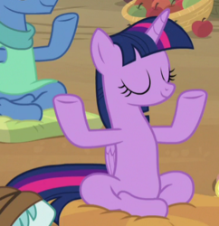 Size: 368x380 | Tagged: safe, screencap, twilight sparkle, alicorn, pony, a rockhoof and a hard place, g4, cropped, crossed legs, eyes closed, female, lotus position, mare, meditation, pillow, sitting, twilight sparkle (alicorn)