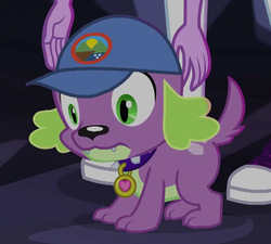 Size: 549x494 | Tagged: safe, screencap, sci-twi, spike, spike the regular dog, twilight sparkle, dog, equestria girls, g4, my little pony equestria girls: legend of everfree, cap, cropped, hat, male, paws