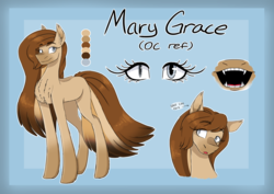 Size: 5883x4176 | Tagged: safe, artist:ggchristian, oc, oc only, oc:mary, earth pony, pony, absurd resolution, female, mare, reference sheet, solo