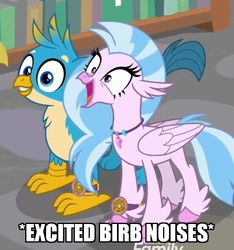 Size: 594x634 | Tagged: safe, edit, edited screencap, screencap, gallus, silverstream, bird, classical hippogriff, griffon, hippogriff, a matter of principals, g4, adorable face, beak, birb, claws, cute, descriptive noise, diastreamies, discovery family logo, duo, duo male and female, excited, female, gallabetes, happy, horsebird, image macro, jewelry, male, meme, necklace, smiling, standing, teenager, wings