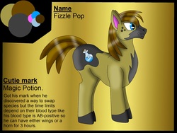 Size: 2560x1920 | Tagged: safe, artist:pd123sonic, oc, oc only, oc:fizzle pop, pony, male, potion, reference sheet, solo, stallion