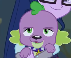 Size: 415x342 | Tagged: safe, screencap, sci-twi, spike, spike the regular dog, twilight sparkle, dog, equestria girls, g4, my little pony equestria girls: friendship games, cropped, male, paws, smiling