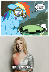 Size: 392x570 | Tagged: safe, idw, rainbow dash, tank, human, pegasus, pony, g4, micro-series #2, my little pony micro-series, ...baby one more time, britney spears, comic, female, irl, irl human, joke, mare, meme, photo, song reference, that's my pony, that's my x
