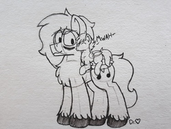 Size: 4128x3096 | Tagged: safe, artist:drheartdoodles, oc, oc:dr.heart, oc:infi, earth pony, pegasus, pony, black and white, blushing, cheek kiss, gay, grayscale, guidelines, kissing, male, missing cutie mark, monochrome, mwah, oc x oc, shipping, size difference
