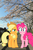 Size: 640x960 | Tagged: artist needed, safe, editor:lisaloudleijon, applejack, pinkie pie, g4, blushing, cherry blossoms, cute, date, female, flower, flower blossom, irl, japan, lesbian, photo, ponies in real life, ship:applepie, shipping, tokyo