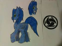 Size: 1024x768 | Tagged: safe, artist:matmax426, oc, oc only, pony, reference sheet, solo