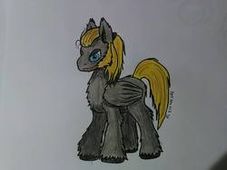 Size: 960x720 | Tagged: safe, artist:matmax426, oc, oc only, pony, solo