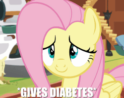 Size: 630x496 | Tagged: safe, edit, edited screencap, screencap, fluttershy, butterfly, pegasus, pony, fluttershy leans in, g4, adorable face, animated, big eyes, cropped, cute, diabetes, eye shimmer, female, floppy ears, fluttershy's cottage, folded wings, image macro, indoors, mare, meme, shyabetes, smiling, solo, wings