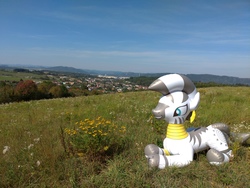 Size: 4032x3024 | Tagged: safe, artist:arniemkii, zecora, inflatable pony, pony, zebra, g4, bootleg, hongyi, inflatable, inflatable toy, irl, nature, photo, relaxing