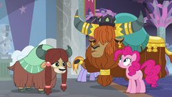 Size: 1280x720 | Tagged: safe, screencap, pinkie pie, prince rutherford, yona, earth pony, pony, yak, g4, school daze, cloven hooves, crown, ear piercing, earring, female, horn, horn ring, jewelry, male, mare, piercing, regalia, school of friendship