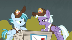Size: 1920x1080 | Tagged: safe, screencap, appointed rounds, rainy day, pegasus, pony, g4, road to friendship, clothes, crate, discovery family logo, duo, duo female, female, hat, lidded eyes, mailmare, mailmare hat, mare, out of context, shirt, uniform