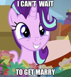 Size: 500x542 | Tagged: safe, edit, edited screencap, screencap, starlight glimmer, pony, unicorn, g4, road to friendship, dialogue, engrish, female, flower, grammar error, happy, image macro, imgflip, mare, meme, smiling, solo