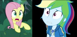 Size: 808x388 | Tagged: safe, fluttershy, rainbow dash, pegasus, pony, equestria girls, g4, black background, forest, reaction, screenshots, simple background, surprised
