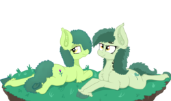 Size: 4252x2516 | Tagged: safe, artist:paskanaakka, derpibooru exclusive, oc, oc only, oc:bittergreen, oc:thistle sprig, earth pony, pony, chest fluff, colored hooves, duo, duo female, ear fluff, female, lidded eyes, looking back, mare, prone, simple background, sisters, smiling, sploot, transparent background, underhoof, unshorn fetlocks