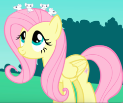 Size: 637x532 | Tagged: safe, screencap, fluttershy, mouse, pegasus, pony, g4, season 1, the best night ever, animal, cute, female, looking up, mare, shyabetes, sitting on head, smiling