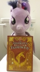 Size: 2560x1440 | Tagged: safe, twilight sparkle, alicorn, pony, g4, bathroom, book, elements of harmony, female, irl, photo, plushie, toilet, twilight sparkle (alicorn)