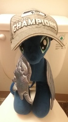 Size: 2560x1440 | Tagged: safe, princess luna, alicorn, pony, g4, american football, bathroom, female, hat, irl, nfl, nfl playoffs, photo, plushie, seattle seahawks, solo, sports, super bowl, super bowl champions, super bowl xlviii, toilet