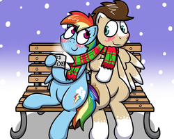 Size: 1000x800 | Tagged: safe, artist:pokefound, rainbow dash, oc, oc:skittle, pegasus, pony, g4, bench, blushing, canon x oc, clothes, female, male, mare, scarf, shared clothing, shared scarf, sitting, skidash, snow, stallion, straight
