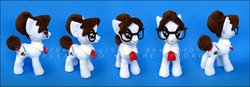 Size: 2004x697 | Tagged: safe, artist:serenity-sama, raven, earth pony, pony, g4, glasses, hair bun, irl, multiple views, photo, plushie