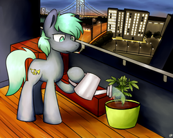 Size: 1280x1024 | Tagged: safe, artist:sugar morning, oc, oc only, oc:dee, earth pony, pony, apartment, bridge, commission, drugs, evening, loss (meme), male, marijuana, plant, scenery, smoking, solo, stallion, standing, watering