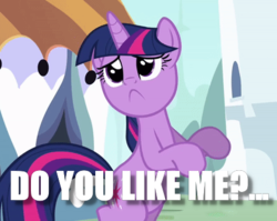 Size: 421x335 | Tagged: safe, edit, edited screencap, screencap, twilight sparkle, pony, unicorn, g4, the crystal empire, :c, bronybait, cropped, cute, female, frown, image macro, mare, meme, question, sad, sad face, sadorable, solo, twiabetes, unicorn twilight