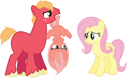 Size: 1024x626 | Tagged: safe, artist:ayumilunara, big macintosh, fluttershy, oc, oc:apple blossom, g4, alternate hairstyle, base used, crossed hooves, family, female, filly, freckles, male, missing accessory, missing cutie mark, mouth hold, offspring, parent:big macintosh, parent:fluttershy, parents:fluttermac, ship:fluttermac, shipping, simple background, straight, tail, tail pull, upside down, white background