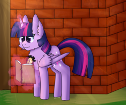 Size: 1024x854 | Tagged: safe, artist:sugarsprink, twilight sparkle, alicorn, pony, fanfic:songs of the spheres, fanfic:the influence, g4, fanfic art, female, magic, notebook, solo, twilence, twilight sparkle (alicorn), wall, writing