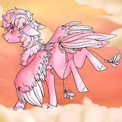 Size: 1000x1000 | Tagged: safe, artist:cinnamonsparx, oc, oc only, pegasus, pony, cloud, female, mare, solo, two toned wings