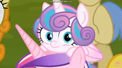 Size: 1280x715 | Tagged: safe, screencap, carrot top, golden harvest, goldengrape, princess cadance, princess flurry heart, sir colton vines iii, alicorn, earth pony, pony, g4, road to friendship, animated, baby, baby pony, bandicam, cute, female, flurry heart riding cadance, flurrybetes, male, mare, peeking, ponies riding ponies, pony hat, riding, scared, sound, stallion, webm, www.bandicam.com