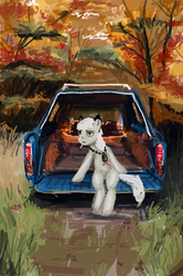 Size: 1358x2043 | Tagged: safe, artist:ony01, oc, oc only, earth pony, pony, autumn, car, forest, sitting, smoke, solo