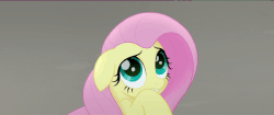 Size: 600x253 | Tagged: safe, screencap, fluttershy, g4, my little pony: the movie, animated, cute, female, gif, shyabetes, weapons-grade cute