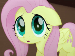 Size: 338x253 | Tagged: safe, screencap, fluttershy, pinkie pie, twilight sparkle, alicorn, earth pony, pegasus, pony, g4, my little pony: the movie, animated, cropped, cute, ears back, eyes closed, female, gif, mare, open mouth, raised hoof, scared, screaming, shyabetes, solo focus, twilight sparkle (alicorn)