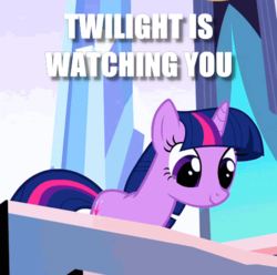 Size: 499x495 | Tagged: safe, edit, edited screencap, screencap, twilight sparkle, pony, unicorn, g4, the crystal empire, cropped, female, image macro, looking down, meme, reaction image, smiling, solo, unicorn twilight, watching