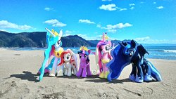 Size: 1200x675 | Tagged: safe, artist:nekokevin, princess cadance, princess celestia, princess luna, twilight sparkle, oc, oc:poniko, alicorn, earth pony, pony, g4, alicorn tetrarchy, beach, cloud, crown, female, hoof shoes, irl, mare, ocean, peytral, photo, plushie, regalia, smiling, spread wings, twilight sparkle (alicorn), wings