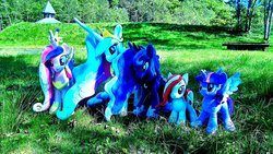 Size: 1200x675 | Tagged: safe, artist:nekokevin, princess cadance, princess celestia, princess luna, twilight sparkle, oc, oc:poniko, alicorn, earth pony, pony, g4, alicorn tetrarchy, crown, female, hoof shoes, irl, mare, nature, peytral, photo, plushie, regalia, smiling, spread wings, tree, twilight sparkle (alicorn), wings