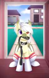 Size: 1024x1621 | Tagged: safe, artist:scarlet-spectrum, oc, oc only, bat pony, pony, bat pony oc, bat wings, blurry background, clothes, collar, cute, cute little fangs, digital art, fangs, female, hair over one eye, heterochromia, house, leash, looking at you, mare, pony pet, socks, solo, white hair, white mane, white tail