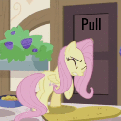 Size: 350x350 | Tagged: safe, edit, edited screencap, screencap, fluttershy, pegasus, pony, fluttershy leans in, g4, animated, cropped, eyes closed, female, fluttershy vs door, gritted teeth, loop, mare, pull, pushing, silly, silly pony, solo