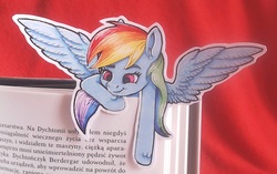 Size: 4625x2906 | Tagged: safe, artist:rysunkowasucharia, rainbow dash, pegasus, pony, g4, book, bookmark, colored pencil drawing, cute, cutout, female, irl, mare, marker drawing, photo, polish, ponies in real life, solo, text, traditional art