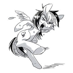 Size: 500x500 | Tagged: safe, artist:akomaru, rainbow dash, pegasus, pony, g4, female, mare, monochrome, motion lines, solo