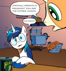 Size: 648x696 | Tagged: safe, artist:andypriceart, edit, editor:symphonic sync, gaffer, princess cadance, shining armor, idw, neigh anything, spoiler:comic11, comics, female, male, shiningcadance, shipping, straight
