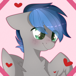 Size: 2000x2000 | Tagged: safe, artist:etoz, oc, oc:kyran, pegasus, pony, blushing, bust, colt, heart, high res, male, wings, ych result