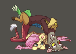 Size: 2808x2000 | Tagged: safe, artist:graypillow, discord, fluttershy, draconequus, pony, g4, backbend, bridge stretch, female, high res, male, ship:discoshy, shipping, simple background, straight