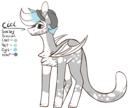 Size: 1020x858 | Tagged: safe, artist:sweetmelon556, oc, oc only, oc:ciel, original species, bat wings, cat tail, male, reference sheet, simple background, solo, transparent background